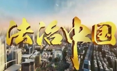 法治中國建設的中國邏輯